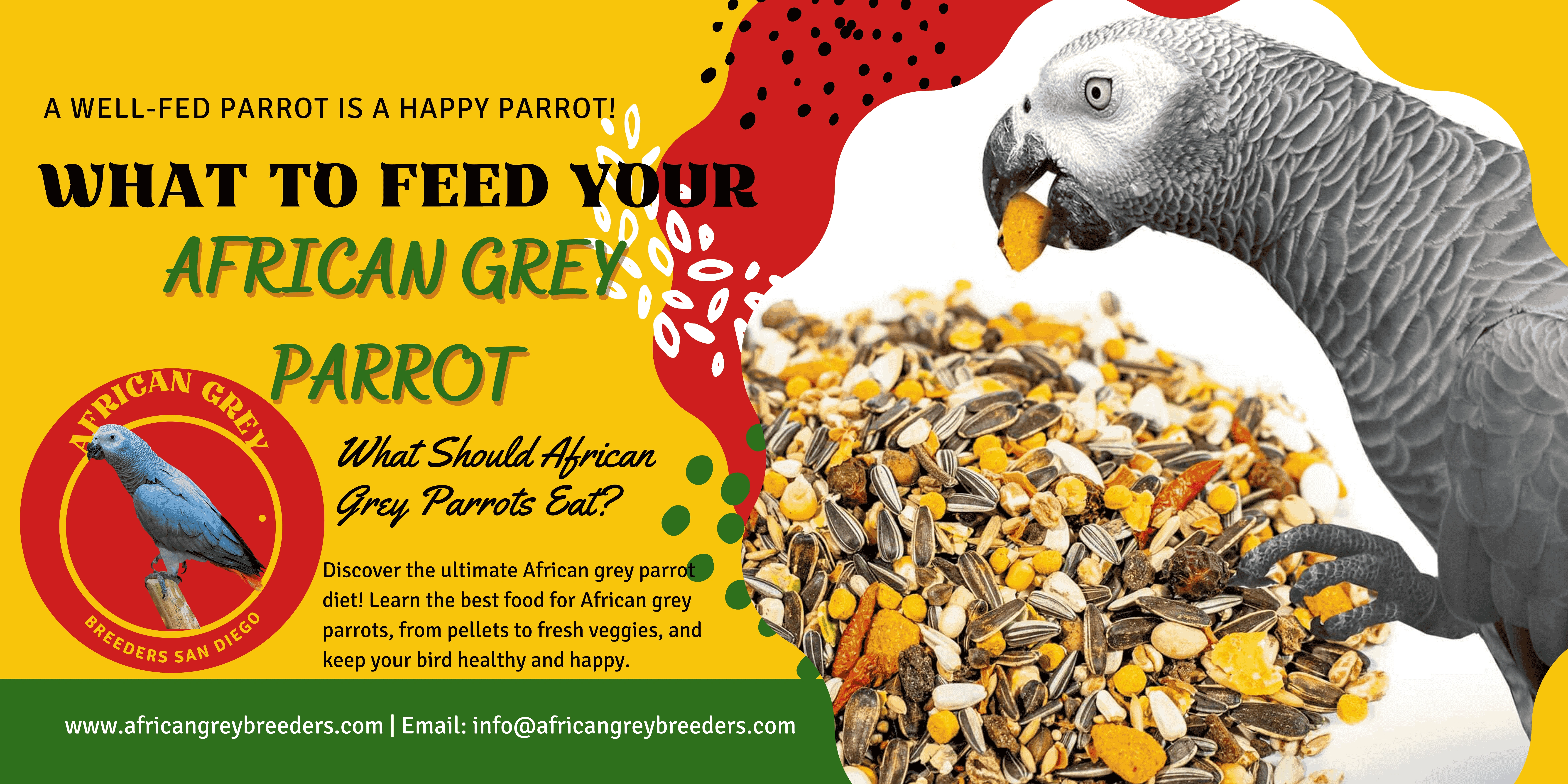 African Grey Nutrition